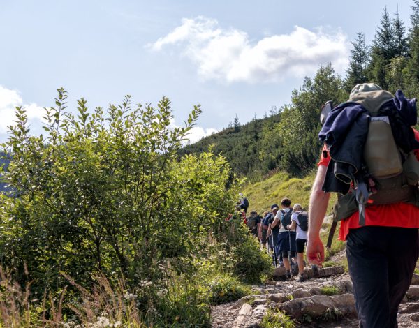 People hiking in the mountains on a path that winds up